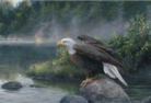 Eagle Rising, by Lindsey Foggett