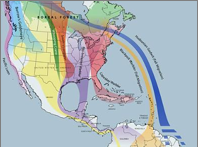 Migratory Map