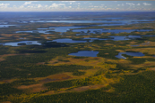 Wetlands of the Boreal