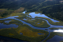 Wetlands of the Boreal
